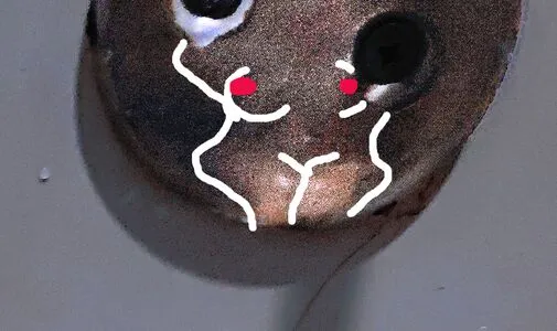 Juliarossi Fit OnlyFans Leaked Free Thumbnail Picture - #4jfqV2h97g