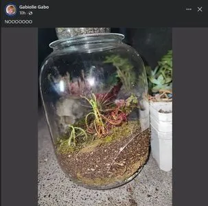 Juliarossi Fit OnlyFans Leaked Free Thumbnail Picture - #ZFsksvFZLe