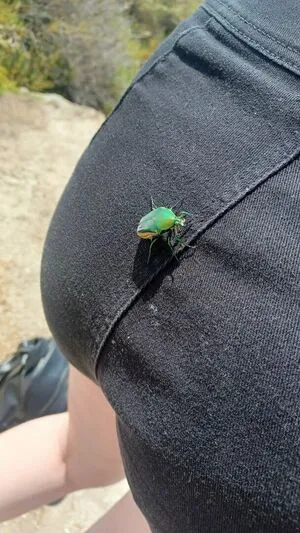 Juniper Actias OnlyFans Leaked Free Thumbnail Picture - #rpPpPxSVlb