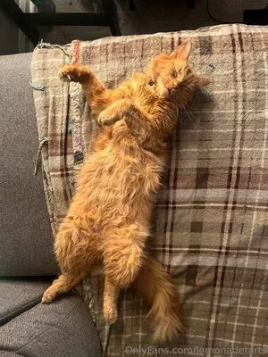 Juniper Rose OnlyFans Leaked Free Thumbnail Picture - #3Nc6krPirb