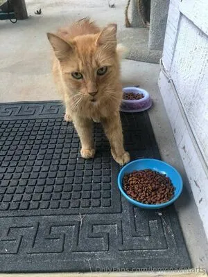 Juniper Rose OnlyFans Leaked Free Thumbnail Picture - #yPMSzzuEIi