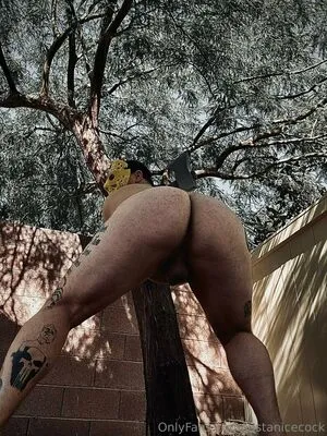 Justanicecock OnlyFans Leaked Free Thumbnail Picture - #3SXESoCaBo