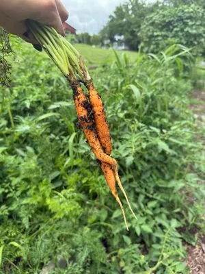 Jxunfiltered OnlyFans Leaked Free Thumbnail Picture - #SECFpcdw7u