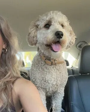 Kaitlyn Summerr OnlyFans Leaked Free Thumbnail Picture - #Q0qqQK6xx5