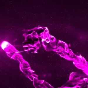 Kallie Taylor OnlyFans Leaked Free Thumbnail Picture - #D2nwYtwVhq