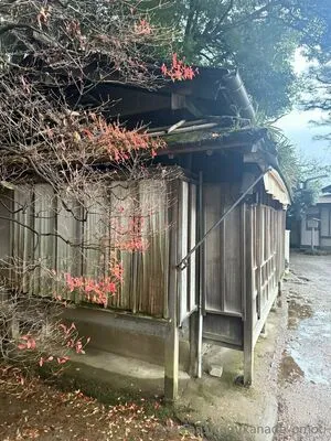 Kanade Omoti OnlyFans Leaked Free Thumbnail Picture - #NcNVDCmtuh