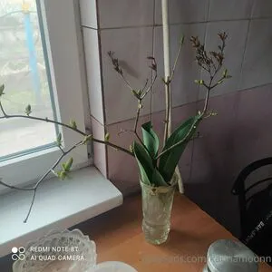 Karinamoonn OnlyFans Leaked Free Thumbnail Picture - #Yyl74ZIX4s