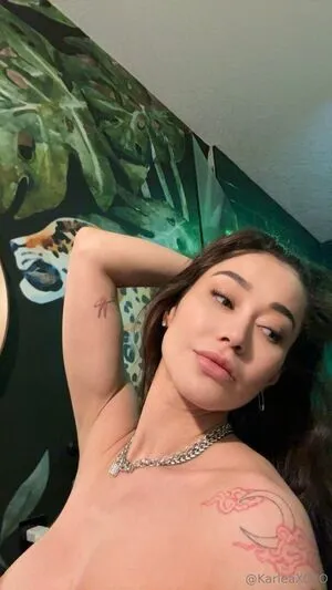 Karleaxoxo OnlyFans Leaked Free Thumbnail Picture - #eINLWLpJGI
