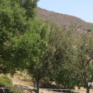 Katalina Kyle OnlyFans Leaked Free Thumbnail Picture - #dwLIwIv3O4