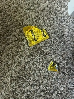 Kate C Og OnlyFans Leaked Free Thumbnail Picture - #lIXOtrA19d