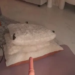 Kateowens OnlyFans Leaked Free Thumbnail Picture - #Vj5pjwD2qg