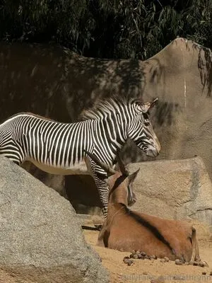 Kathrynn OnlyFans Leaked Free Thumbnail Picture - #wfPxVkyhFY