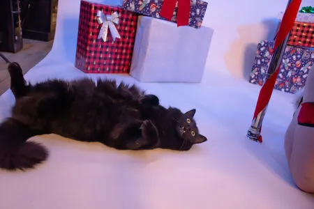 Katy Decobray OnlyFans Leaked Free Thumbnail Picture - #p55iX6L4Pi