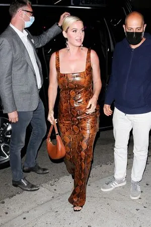 Katy Perry OnlyFans Leaked Free Thumbnail Picture - #821UYMNovt