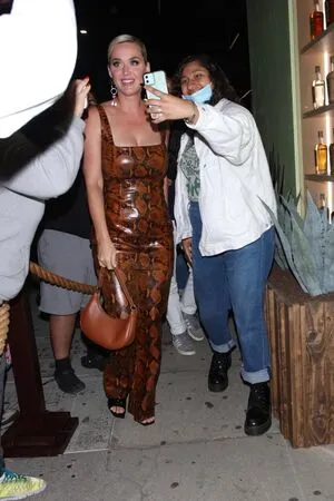 Katy Perry OnlyFans Leaked Free Thumbnail Picture - #F9kWIbSKSv