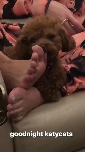 Katy Perry OnlyFans Leaked Free Thumbnail Picture - #QhCR96oaUG