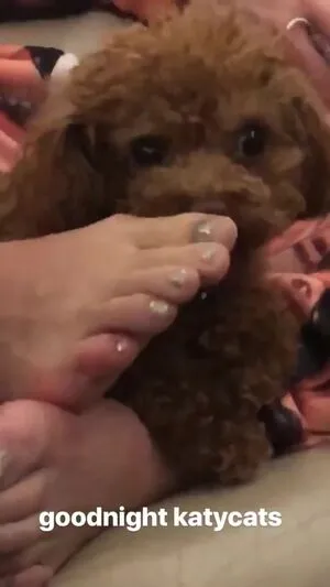 Katy Perry OnlyFans Leaked Free Thumbnail Picture - #VSod3BBjB6