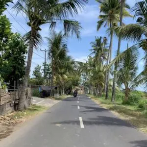 Katya Clover OnlyFans Leaked Free Thumbnail Picture - #x0G9HMrzXA