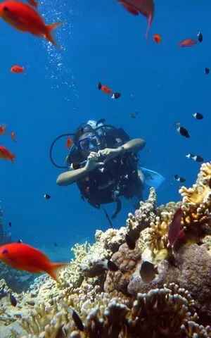 Katyshka2208 OnlyFans Leaked Free Thumbnail Picture - #3UVpW9LYxC