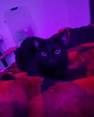 Kawaii Kimby OnlyFans Leaked Free Thumbnail Picture - #kUTJ1oOd0N