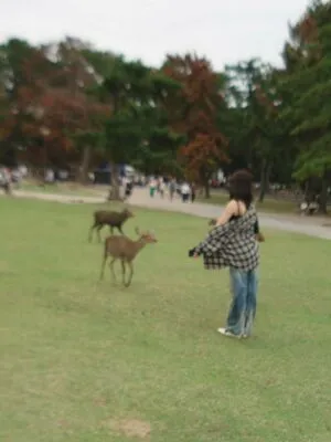 Kazuha Nakamura OnlyFans Leaked Free Thumbnail Picture - #WOc9r14zyh