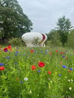 Keily OnlyFans Leaked Free Thumbnail Picture - #5t1augUi8D