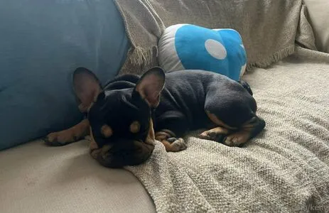 Keily OnlyFans Leaked Free Thumbnail Picture - #WNdpX75KLZ