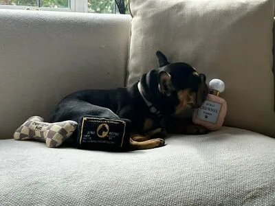 Keily OnlyFans Leaked Free Thumbnail Picture - #iH1JDimjn1