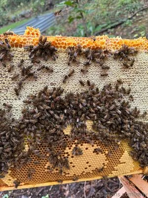 Keily OnlyFans Leaked Free Thumbnail Picture - #sCsZhVUKd3