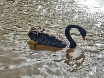 Kerryanntone OnlyFans Leaked Free Thumbnail Picture - #9Jvkm8KBBg