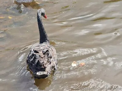 Kerryanntone OnlyFans Leaked Free Thumbnail Picture - #N1aKJi4fLq