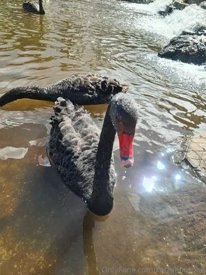 Kerryanntone OnlyFans Leaked Free Thumbnail Picture - #RxRx0kITCS