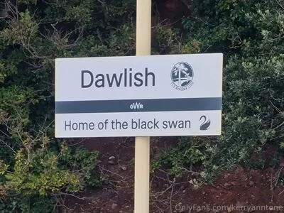 Kerryanntone OnlyFans Leaked Free Thumbnail Picture - #Wh1gI9Ia5X