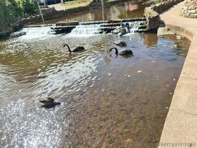 Kerryanntone OnlyFans Leaked Free Thumbnail Picture - #bwKCBm4OHK