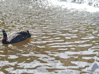 Kerryanntone OnlyFans Leaked Free Thumbnail Picture - #i0x6tEF3kZ