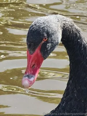 Kerryanntone OnlyFans Leaked Free Thumbnail Picture - #tpTsNIuU6h