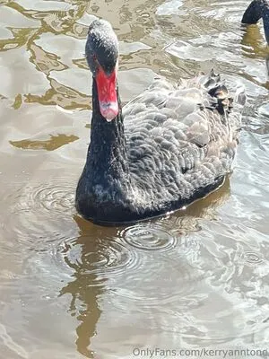 Kerryanntone OnlyFans Leaked Free Thumbnail Picture - #w6IuX93L2S
