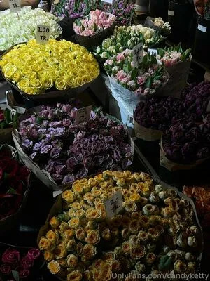 Kettycandy X OnlyFans Leaked Free Thumbnail Picture - #GCaQqllKQp