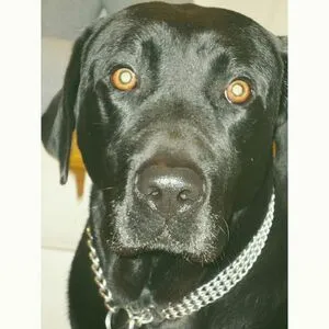 Kika OnlyFans Leaked Free Thumbnail Picture - #nFEyButQKP