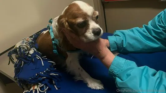 Kimberlykupps OnlyFans Leaked Free Thumbnail Picture - #7jovGarsXj