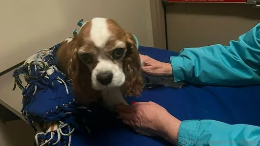 Kimberlykupps OnlyFans Leaked Free Thumbnail Picture - #IYKutKo88v