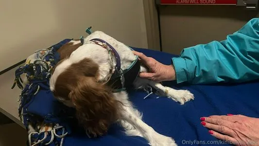 Kimberlykupps OnlyFans Leaked Free Thumbnail Picture - #Zgmjv2rllF