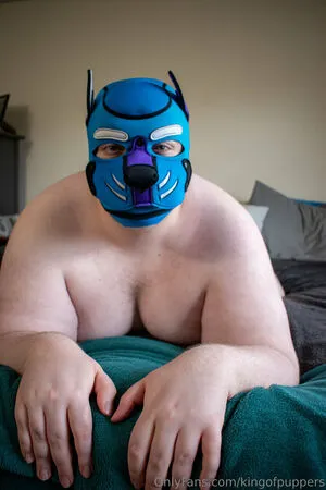 Kingofpuppers OnlyFans Leaked Free Thumbnail Picture - #q1OdQKmj8o