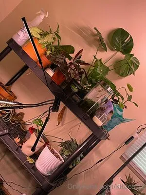 Kitacat20 OnlyFans Leaked Free Thumbnail Picture - #11Pque8Y6k