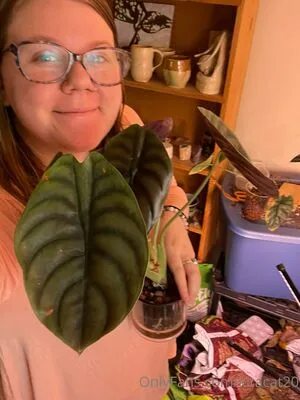 Kitacat20 OnlyFans Leaked Free Thumbnail Picture - #l09ileWY94