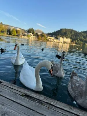 Kitsunka OnlyFans Leaked Free Thumbnail Picture - #lSIETvIwdf