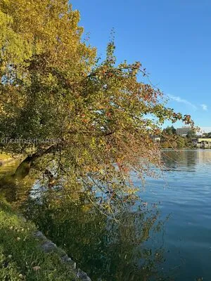 Kitsunka OnlyFans Leaked Free Thumbnail Picture - #yRNkuWzuG1