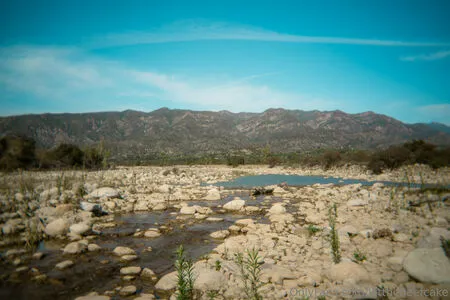 Kitthebeefcake OnlyFans Leaked Free Thumbnail Picture - #uPTrgCYisC