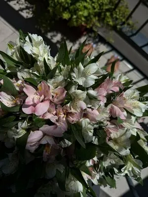 Kitty Dreams Vip OnlyFans Leaked Free Thumbnail Picture - #ZQNxzVraAP