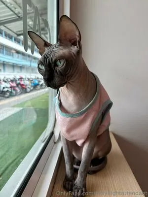 Kittyflightattendant OnlyFans Leaked Free Thumbnail Picture - #XUbG1paJyX